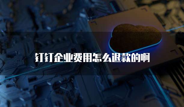 钉钉企业费用怎么退款的啊