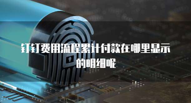 钉钉费用流程累计付款在哪里显示的明细呢
