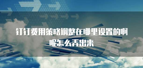 钉钉费用策略调整在哪里设置的啊呢怎么弄出来