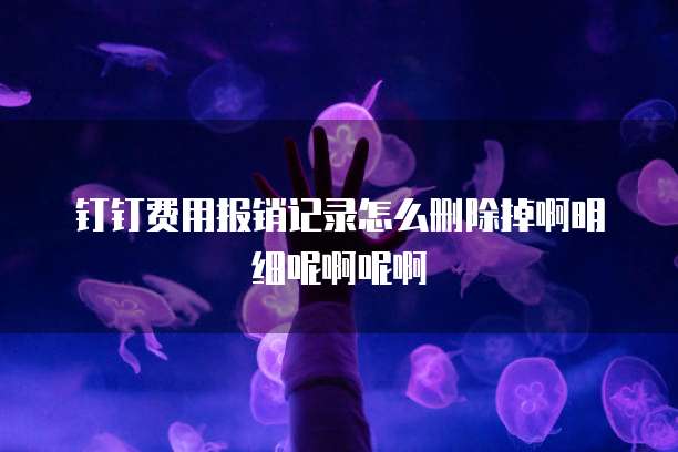 钉钉费用报销记录怎么删除掉啊明细呢啊呢啊