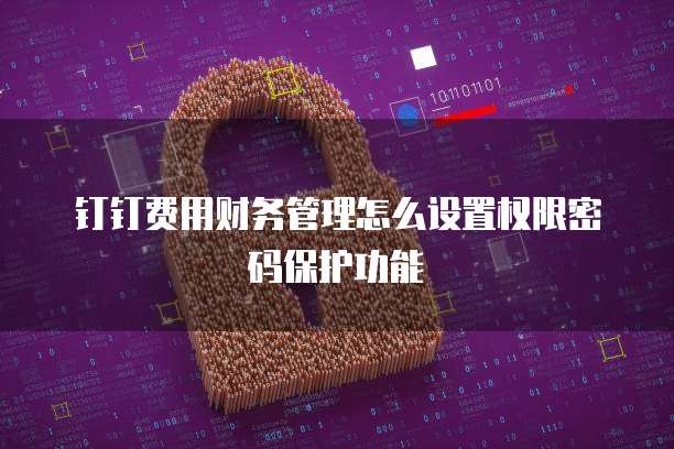 钉钉费用财务管理怎么设置权限密码保护功能