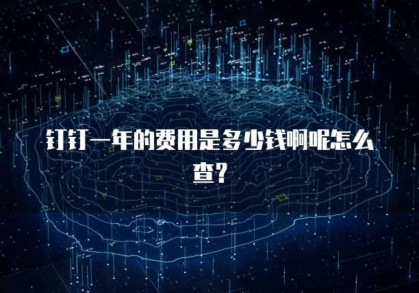 钉钉一年的费用是多少钱啊呢怎么查?