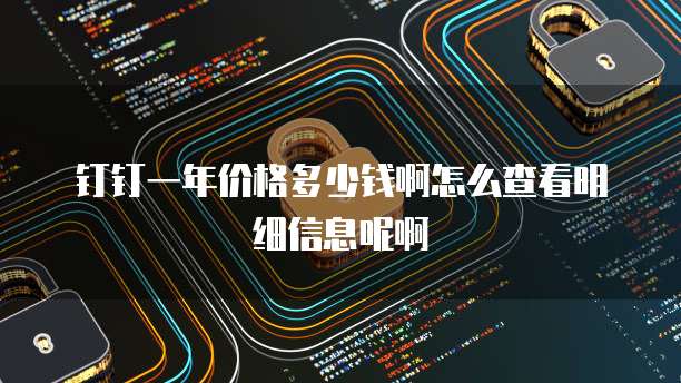 钉钉一年价格多少钱啊怎么查看明细信息呢啊