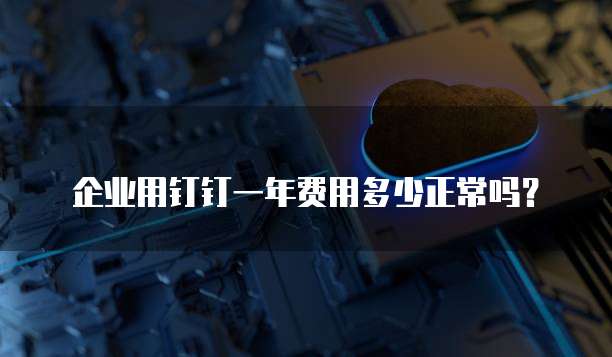  企业用钉钉一年费用多少正常吗？