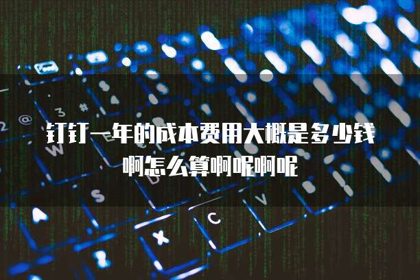 钉钉一年的成本费用大概是多少钱啊怎么算啊呢啊呢