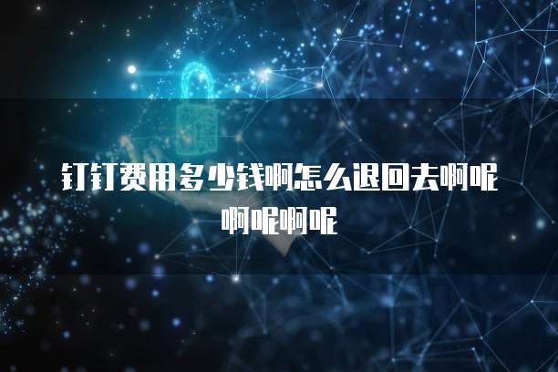 钉钉费用多少钱啊怎么退回去啊呢啊呢啊呢