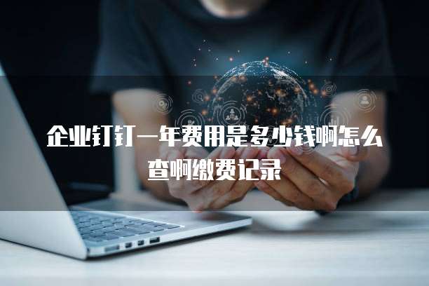 企业钉钉一年费用是多少钱啊怎么查啊缴费记录