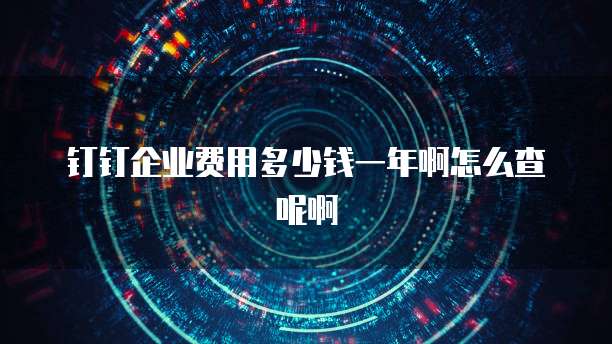 钉钉企业费用多少钱一年啊怎么查呢啊
