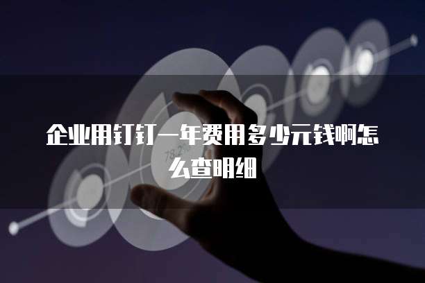 企业用钉钉一年费用多少元钱啊怎么查明细