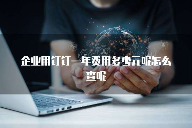 企业用钉钉一年费用多少元呢怎么查呢