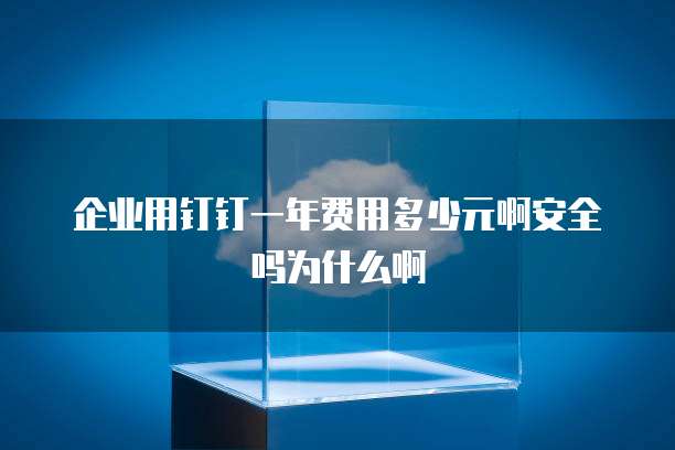 企业用钉钉一年费用多少元啊安全吗为什么啊