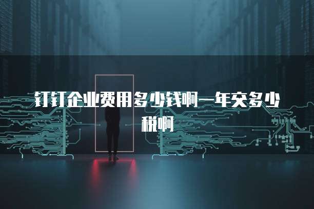 钉钉企业费用多少钱啊一年交多少税啊