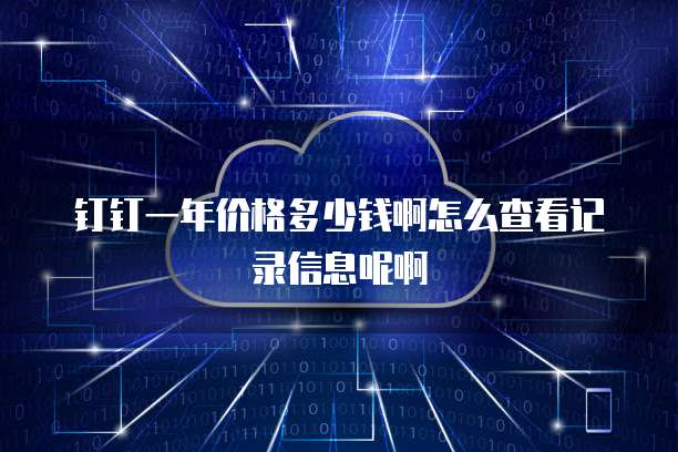 钉钉一年价格多少钱啊怎么查看记录信息呢啊