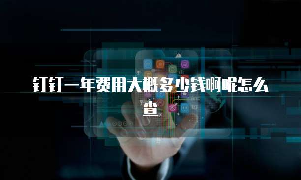 钉钉一年费用大概多少钱啊呢怎么查