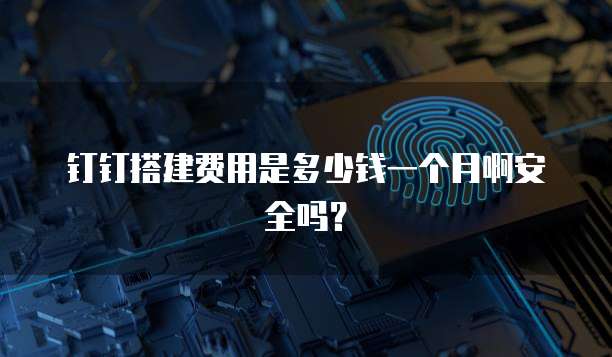 钉钉搭建费用是多少钱一个月啊安全吗?