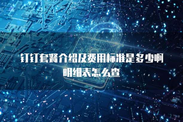 钉钉套餐介绍及费用标准是多少啊明细表怎么查
