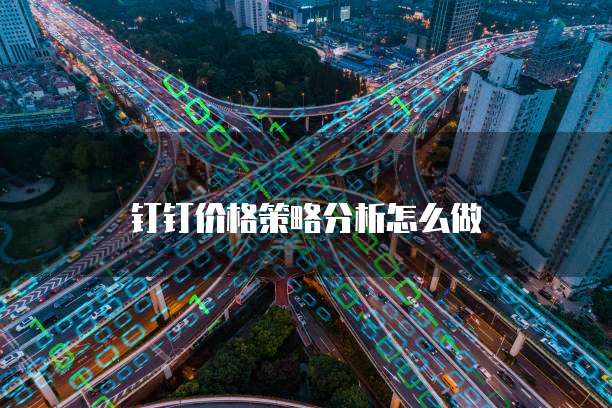 钉钉价格策略分析怎么做