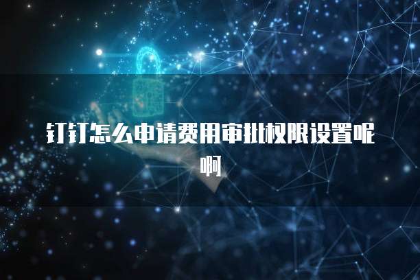 钉钉怎么申请费用审批权限设置呢啊
