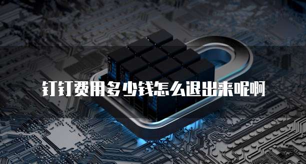 钉钉费用多少钱怎么退出来呢啊