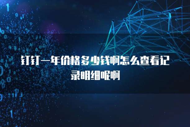 钉钉一年价格多少钱啊怎么查看记录明细呢啊