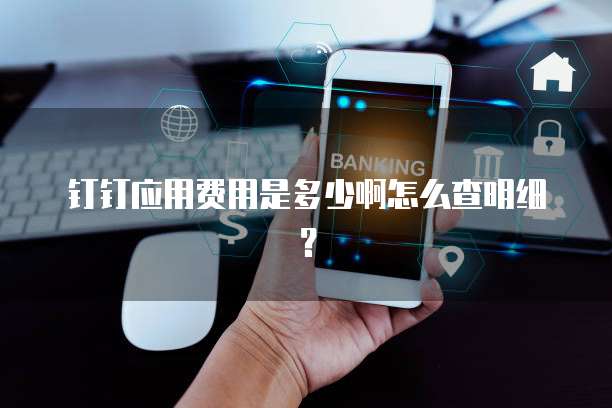 钉钉应用费用是多少啊怎么查明细?