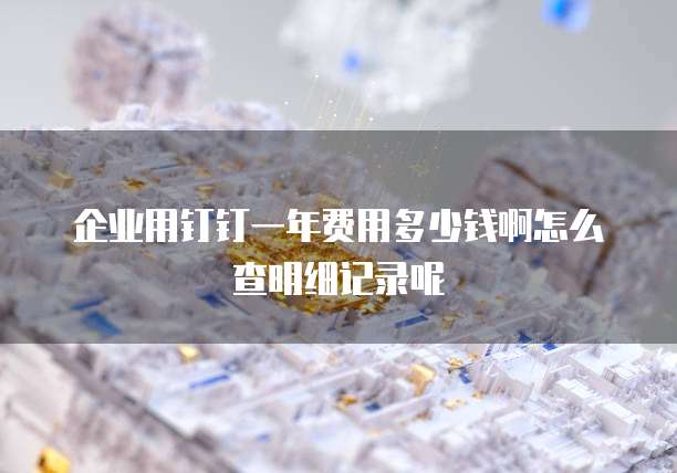 企业用钉钉一年费用多少钱啊怎么查明细记录呢