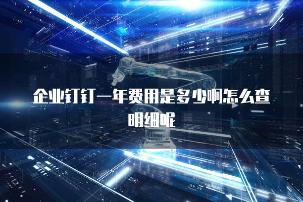 企业钉钉一年费用是多少啊怎么查明细呢