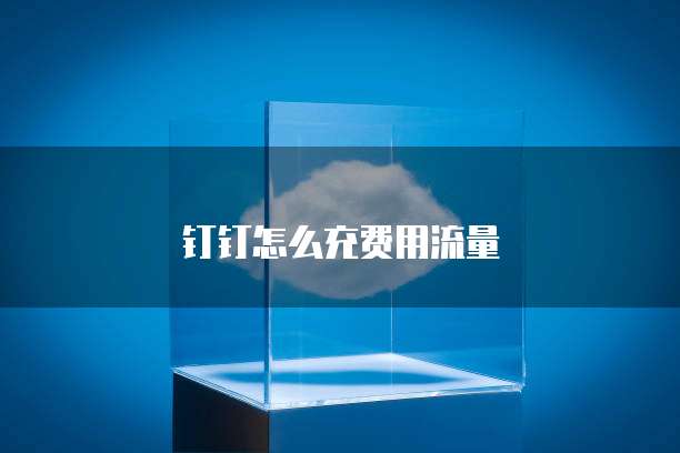 钉钉怎么充费用流量