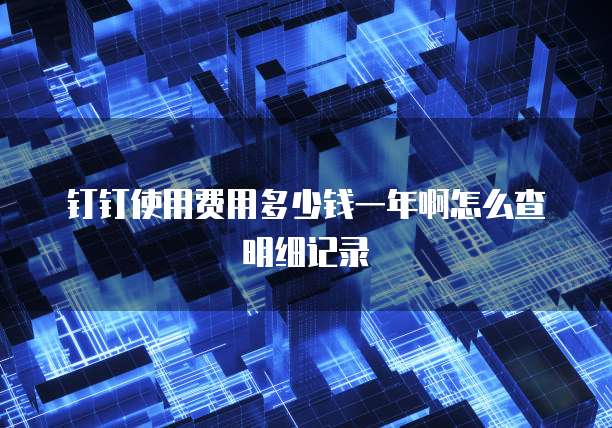 钉钉使用费用多少钱一年啊怎么查明细记录