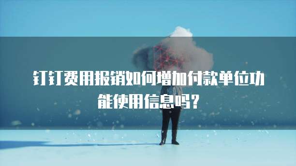 钉钉费用报销如何增加付款单位功能使用信息吗?