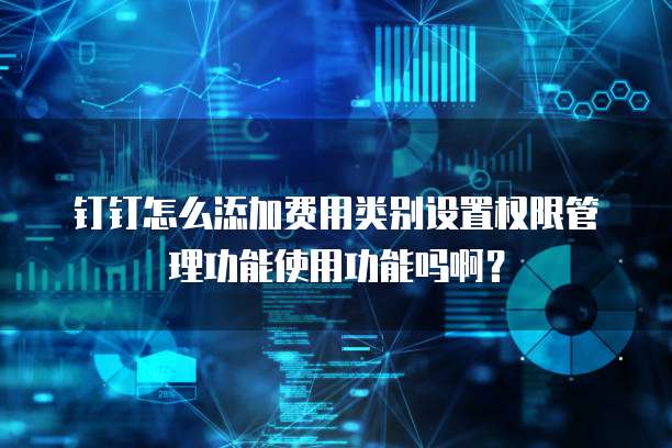 钉钉怎么添加费用类别设置权限管理功能使用功能吗啊?