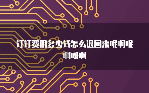 钉钉费用多少钱怎么退回来呢啊呢啊呀啊