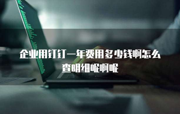 企业用钉钉一年费用多少钱啊怎么查明细呢啊呢