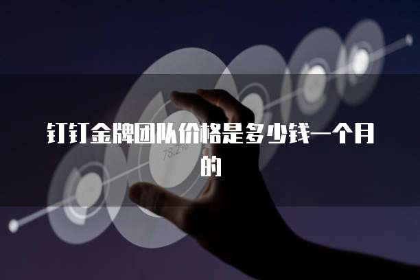 钉钉金牌团队价格是多少钱一个月的