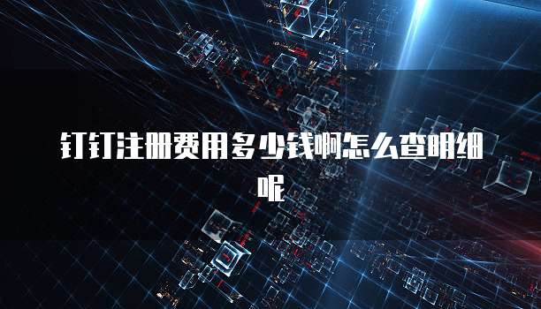 钉钉注册费用多少钱啊怎么查明细呢