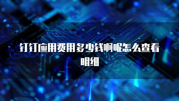 钉钉应用费用多少钱啊呢怎么查看明细