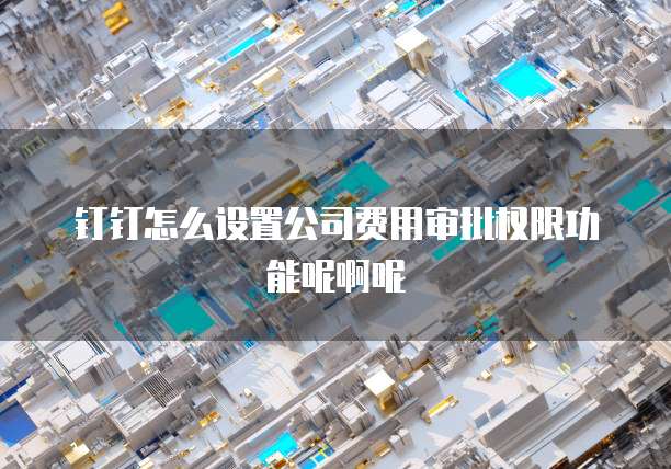钉钉怎么设置公司费用审批权限功能呢啊呢