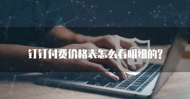 钉钉付费价格表怎么看明细的?