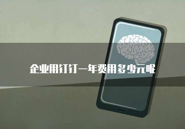 企业用钉钉一年费用多少元呢