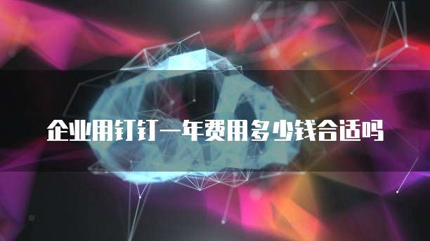 企业用钉钉一年费用多少钱合适吗
