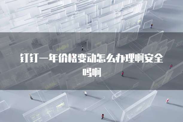 钉钉一年价格变动怎么办理啊安全吗啊