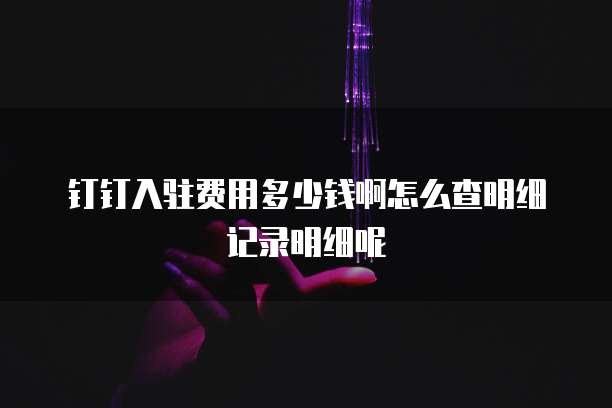 钉钉入驻费用多少钱啊怎么查明细记录明细呢