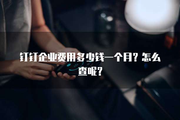 钉钉企业费用多少钱一个月？怎么查呢？