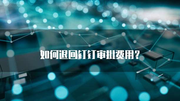如何退回钉钉审批费用?