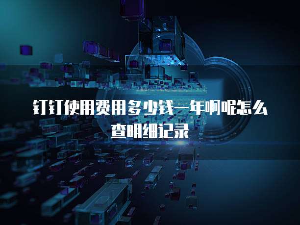 钉钉使用费用多少钱一年啊呢怎么查明细记录