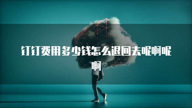 钉钉费用多少钱怎么退回去呢啊呢啊