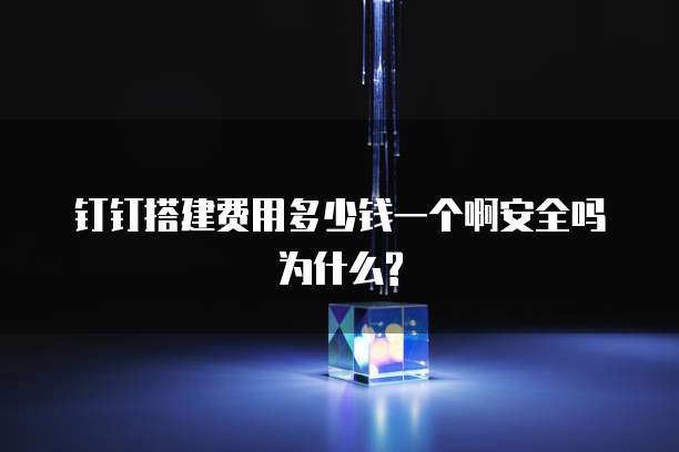 钉钉搭建费用多少钱一个啊安全吗为什么?