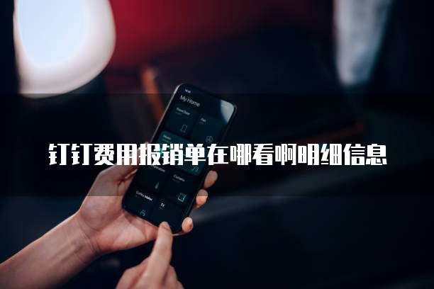 钉钉费用报销单在哪看啊明细信息