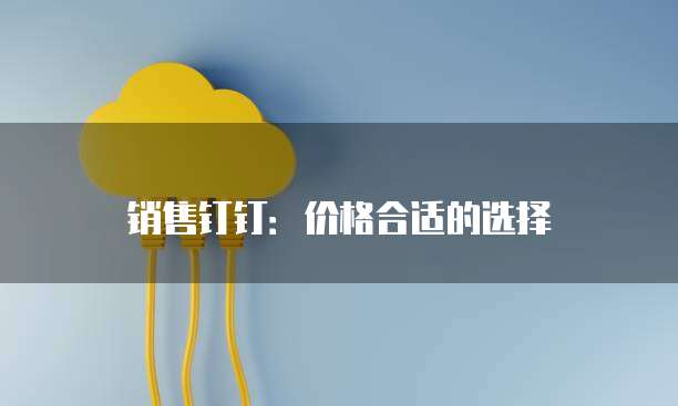 销售钉钉:价格合适的选择