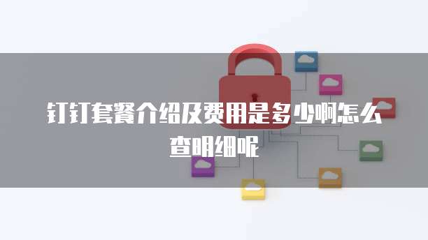钉钉套餐介绍及费用是多少啊怎么查明细呢